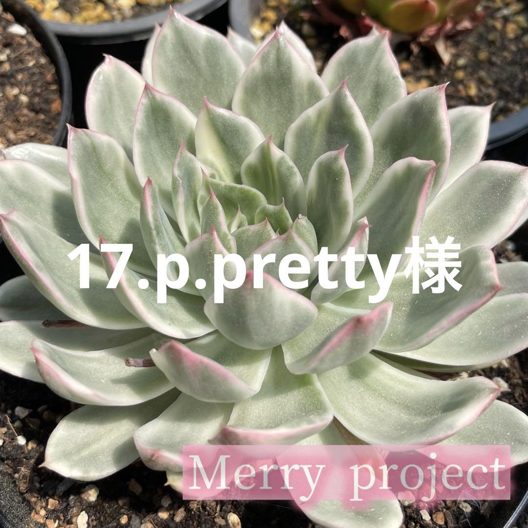 17.p.pretty様