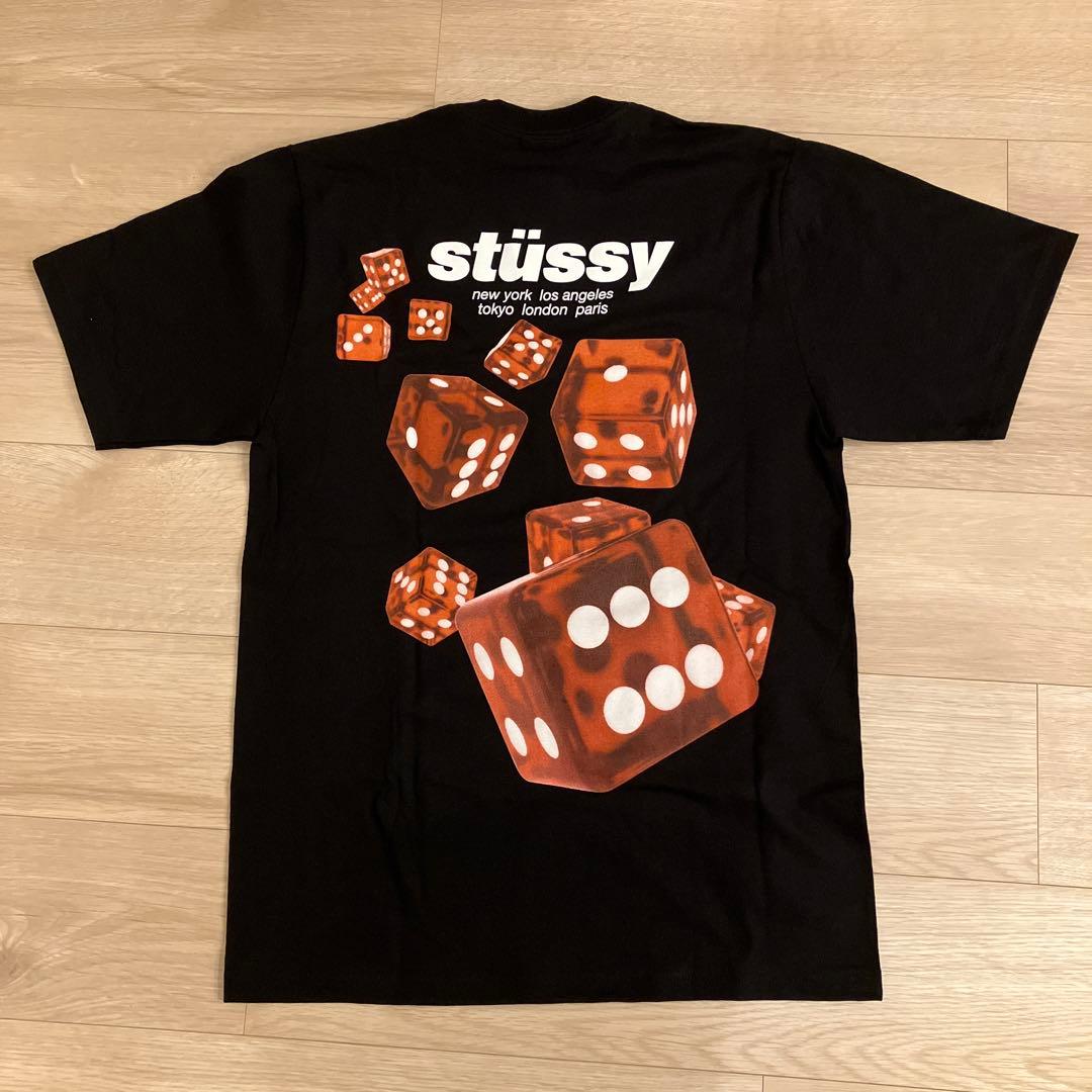 STUSSY ステューシー　Tシャツ