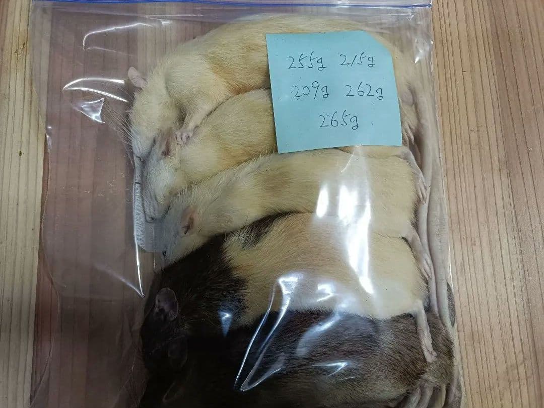 白☆蛇(未出品多数)様 リクエスト 3点 まとめ商品