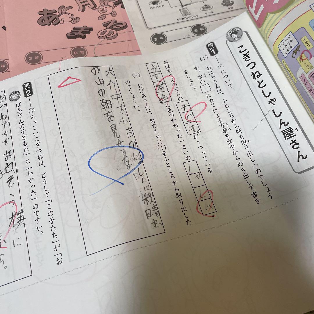 2018年度 サピックス SAPIX 3年生 国語算数理科社会