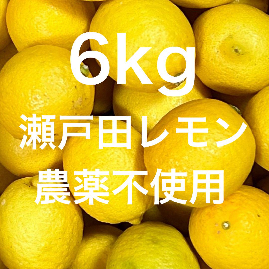国産　瀬戸田レモン農薬不使用　　i