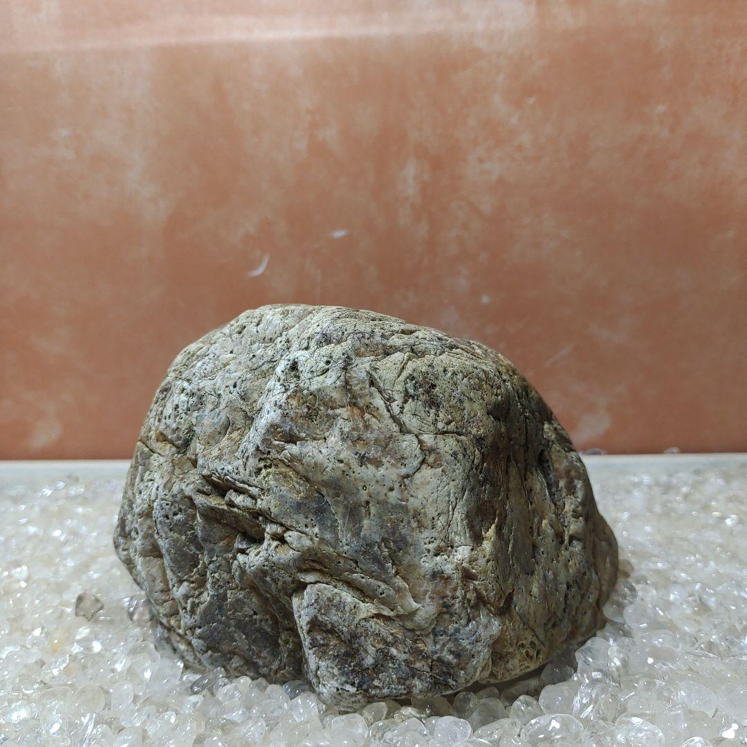 瀬田川石 水石 鑑賞石 銘石 観賞石 盆石 天然石 置物 瀬田川石 天然石 鑑賞石 ウブ石 水石 景石 庭石 #172 - メルカリ