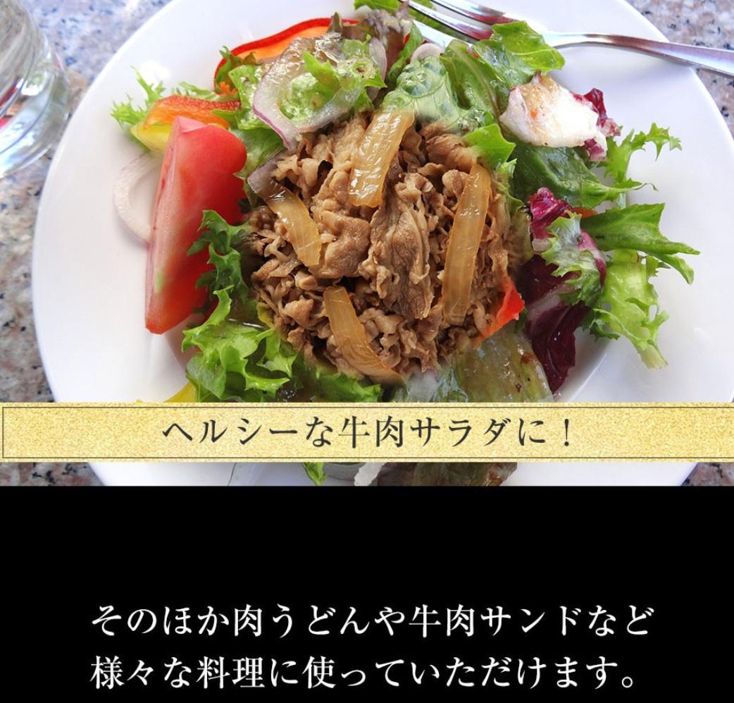 松屋牛丼の具~プレミアム仕様~ 冷凍庫 ランキング上位 eqagp-m80998365251 30パック 大人気商品 再入荷在庫