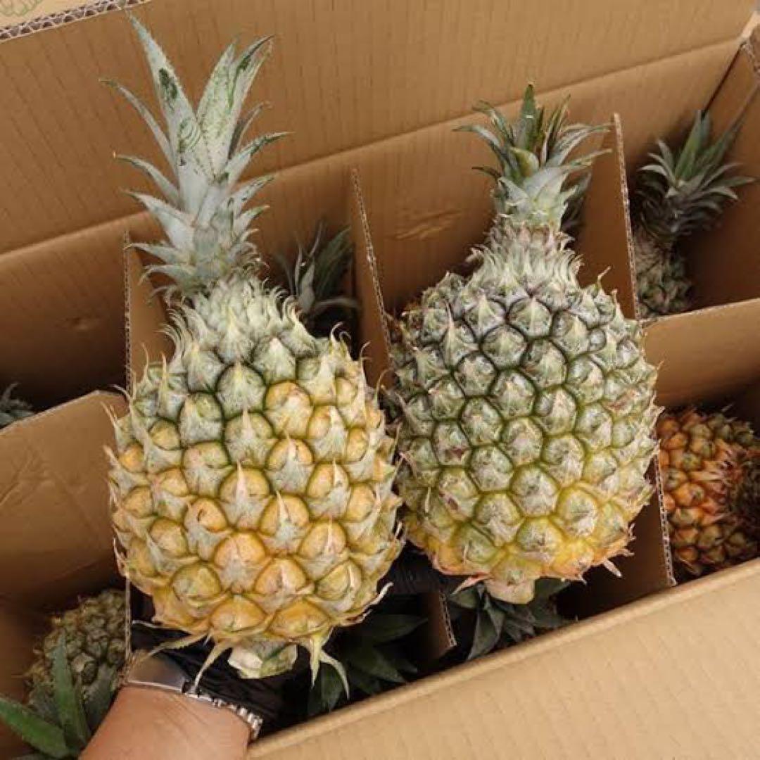 即発送！石垣島産　無農薬スナックパイン　6キロ　葉っぱなし(6~7玉)