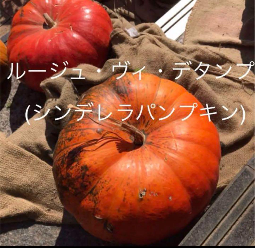 かぼちゃん様 リクエスト 2点 まとめ商品 keropig様 リクエスト 2点 まとめ商品 - メルカリ