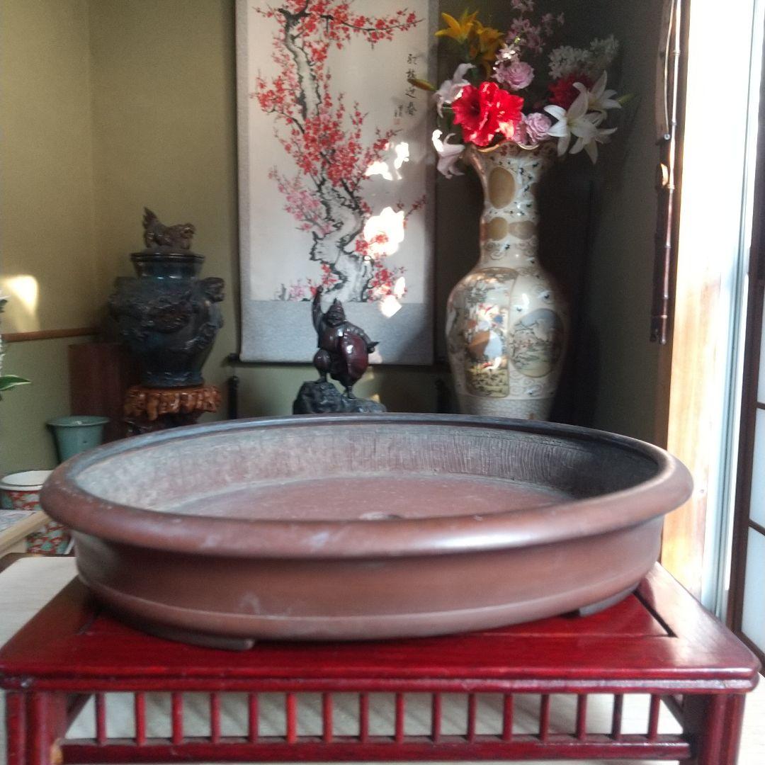 楽天市場】【中古】盆栽鉢 峰輝堂 小型 長辺 約12.8cm 楕円鉢 中