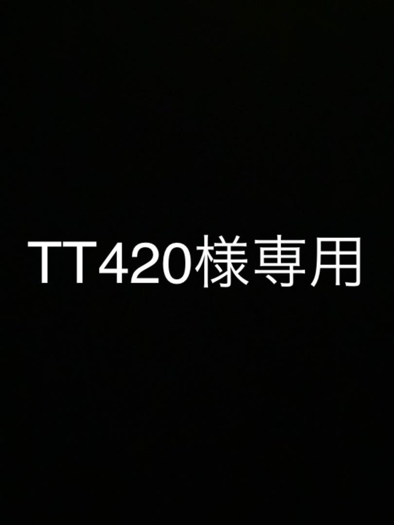 TT420様専用ページ TT420様専用ページ