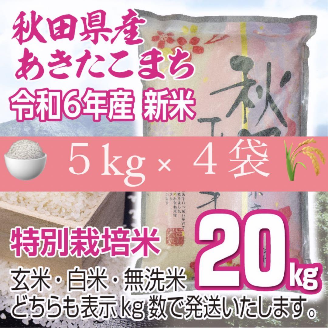 新米 農家直送 秋田県産 令和６年 あきたこまち 20kg 特別栽培米 秋田小町