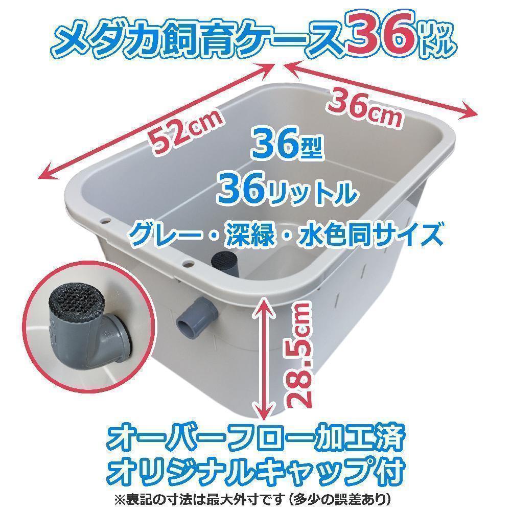 メダカ 飼育ケース 36㍑x3個 3色有り オーバーフロー加工付 金魚飼育容器