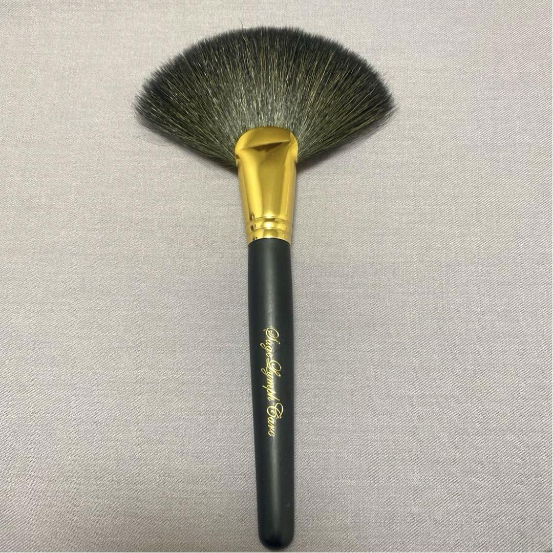 さとう式リンパケアオフィシャルブラシ