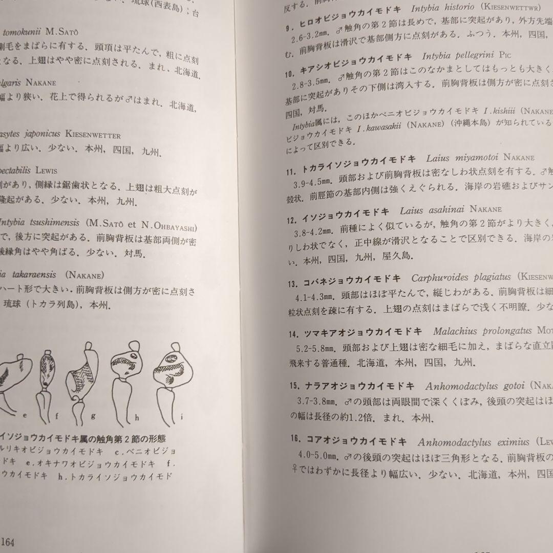 原色日本甲虫図鑑 (III)