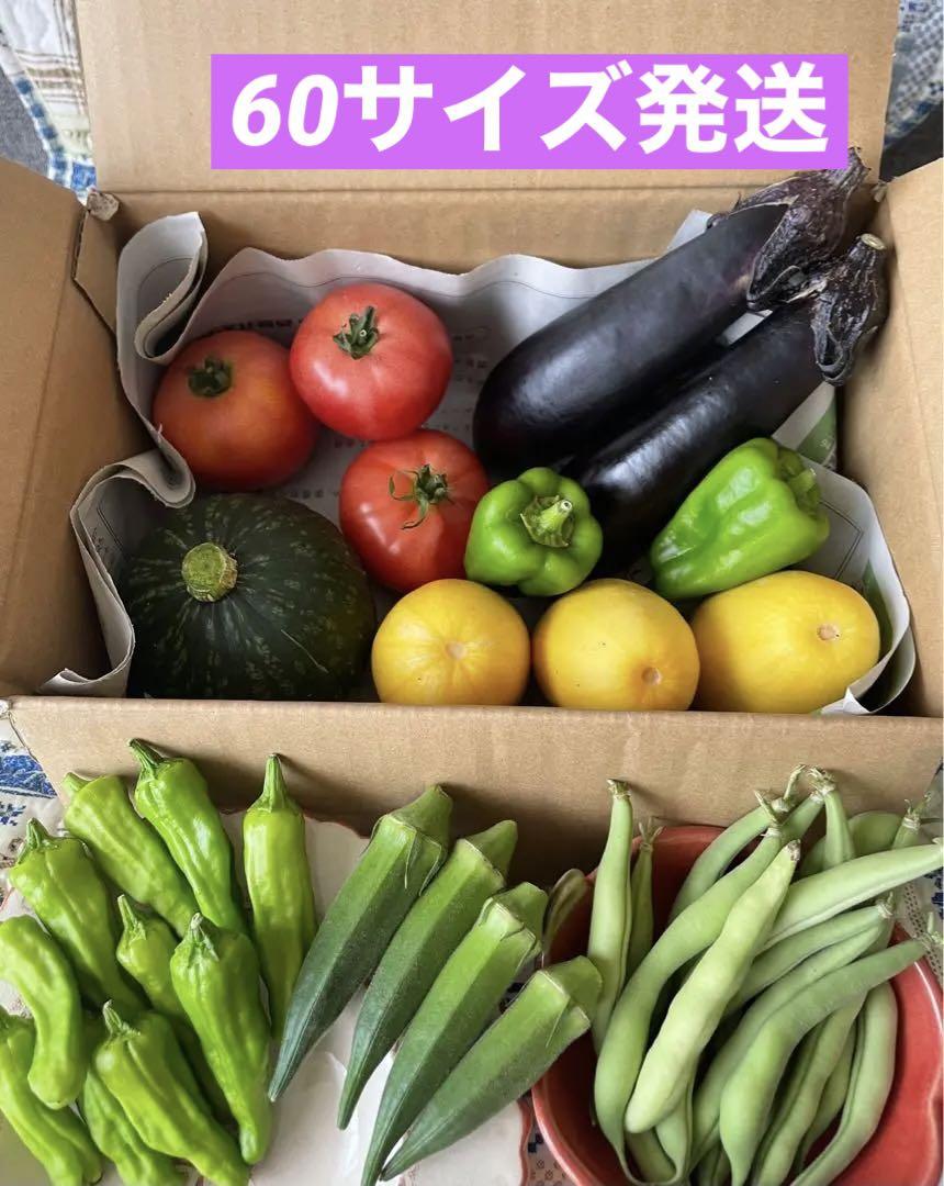 新鮮野菜果物詰め合わせセット農薬不使用ゆうパック60サイズ