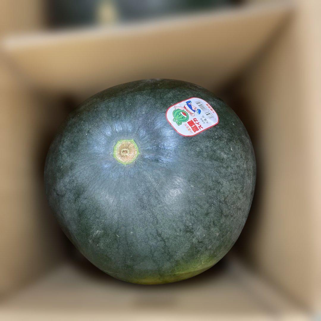0602千葉県産富里大玉スイカブラックジャック規格外品5Lサイズ1箱2玉入り 0602千葉県産富里大玉スイカブラックジャック規格外品5Lサイズ1