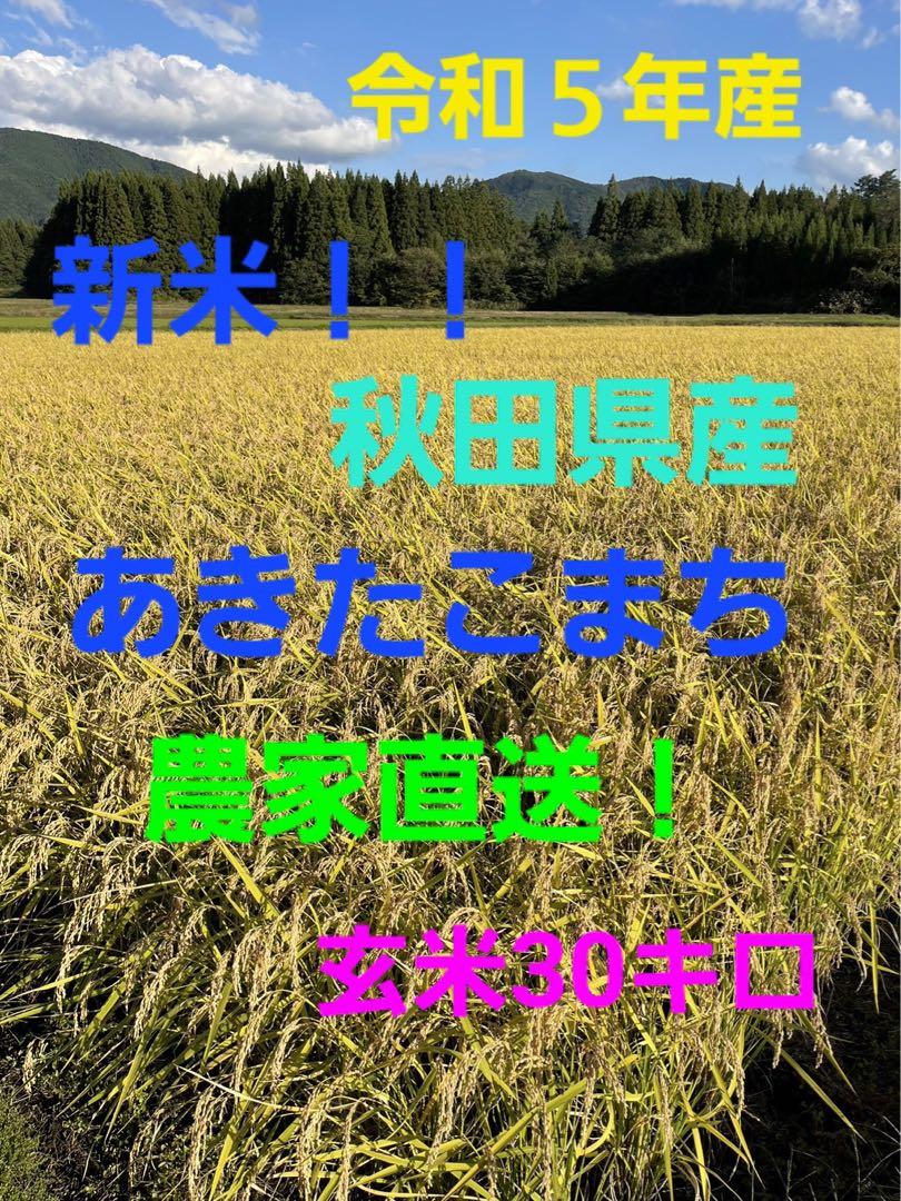 のろ様専用