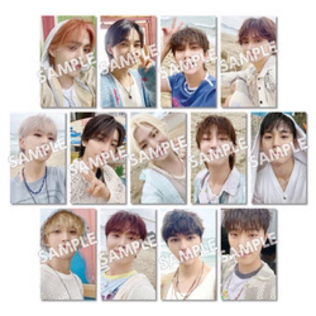 SEVENTEEN CARAT ユニバ UMS トレカ コンプ 13枚 ② SEVENTEEN ユニバcarat盤トレカコンプ