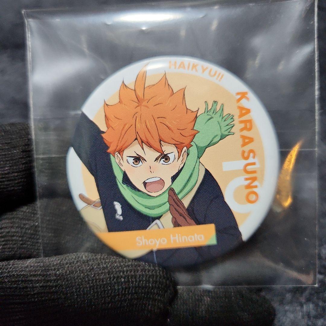 ハイキュー‼