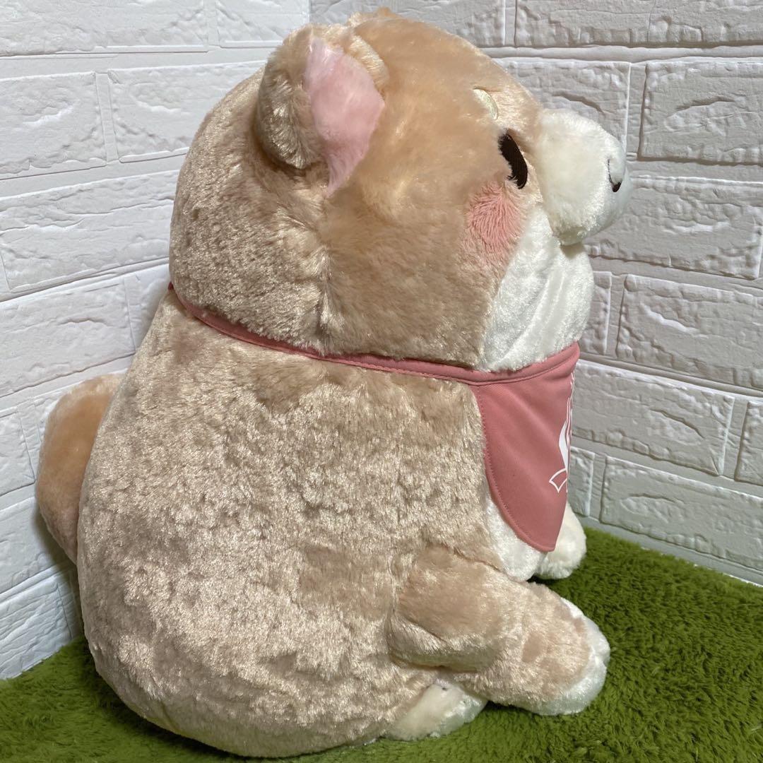 忠犬もちしば ででーんと超Bigぬいぐるみさくら うえまち団子