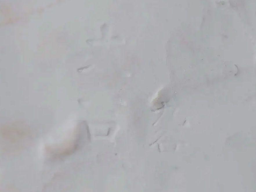 九谷焼∥大吉∥玉乗り唐獅子∥鳳凰玉絵∥色絵金彩∥縁起物∥厄除