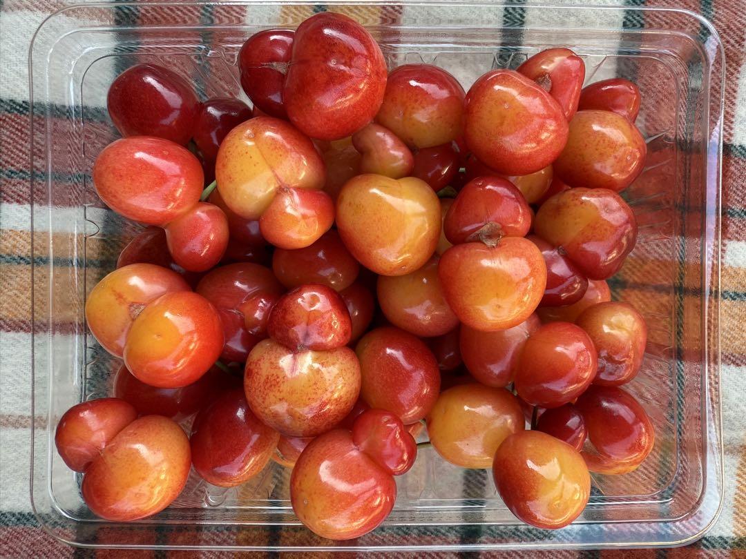 専用【訳あり2kg】紅秀峰　さくらんぼ　長野県産　500g×4パック