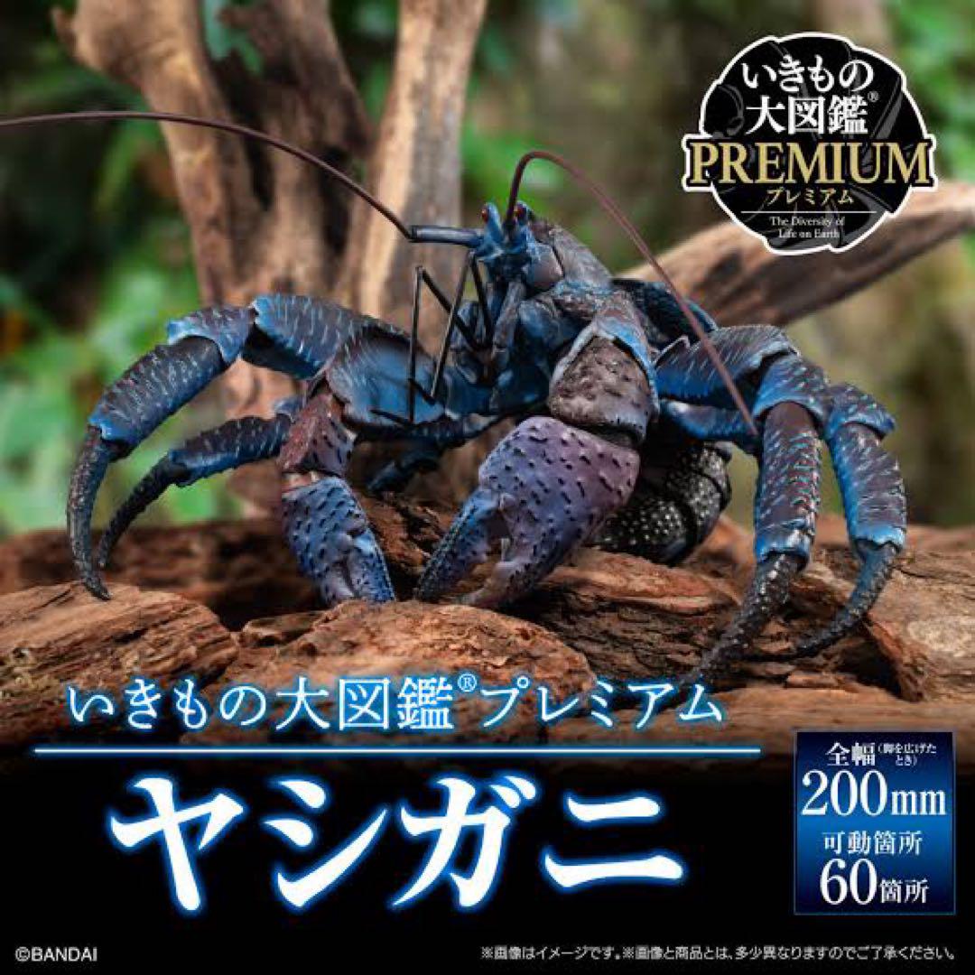 【ヤシガニ】いきもの大図鑑プレミアム
