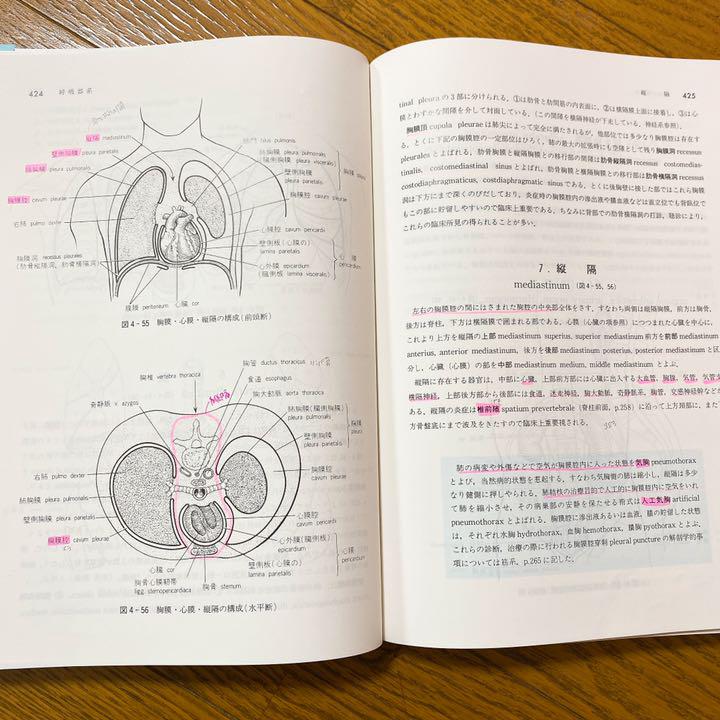 人体系統解剖学