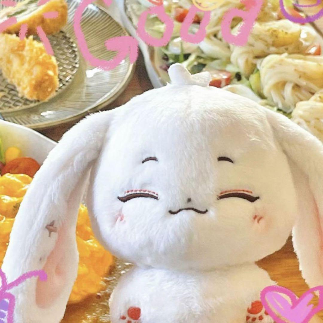 ジョシュア ぬいぐるみ 10cm 新品 マスター セブチ svt