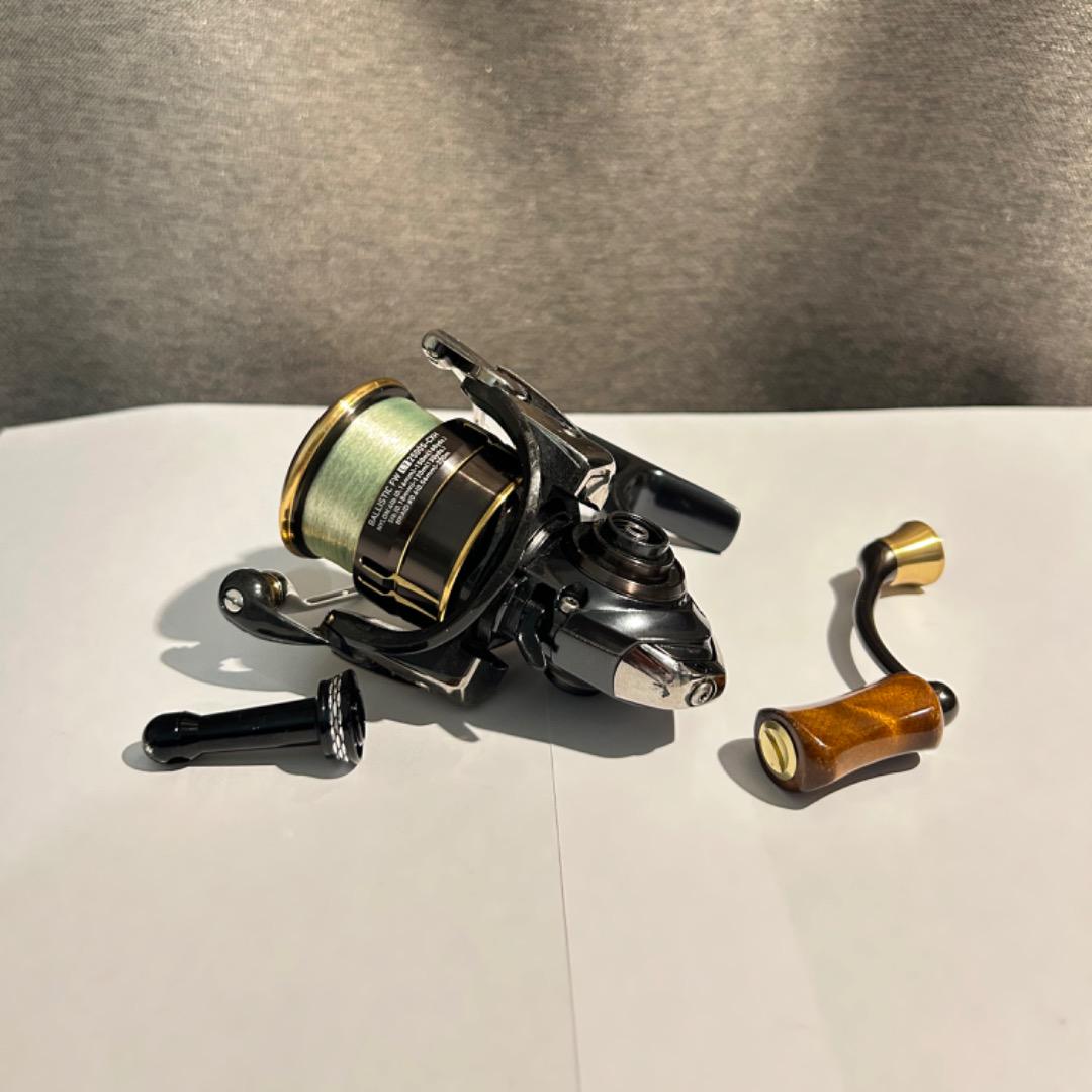 Amazon.com : Daiwa LT2500SS-CXH 19 Ballistic Spinning Reel