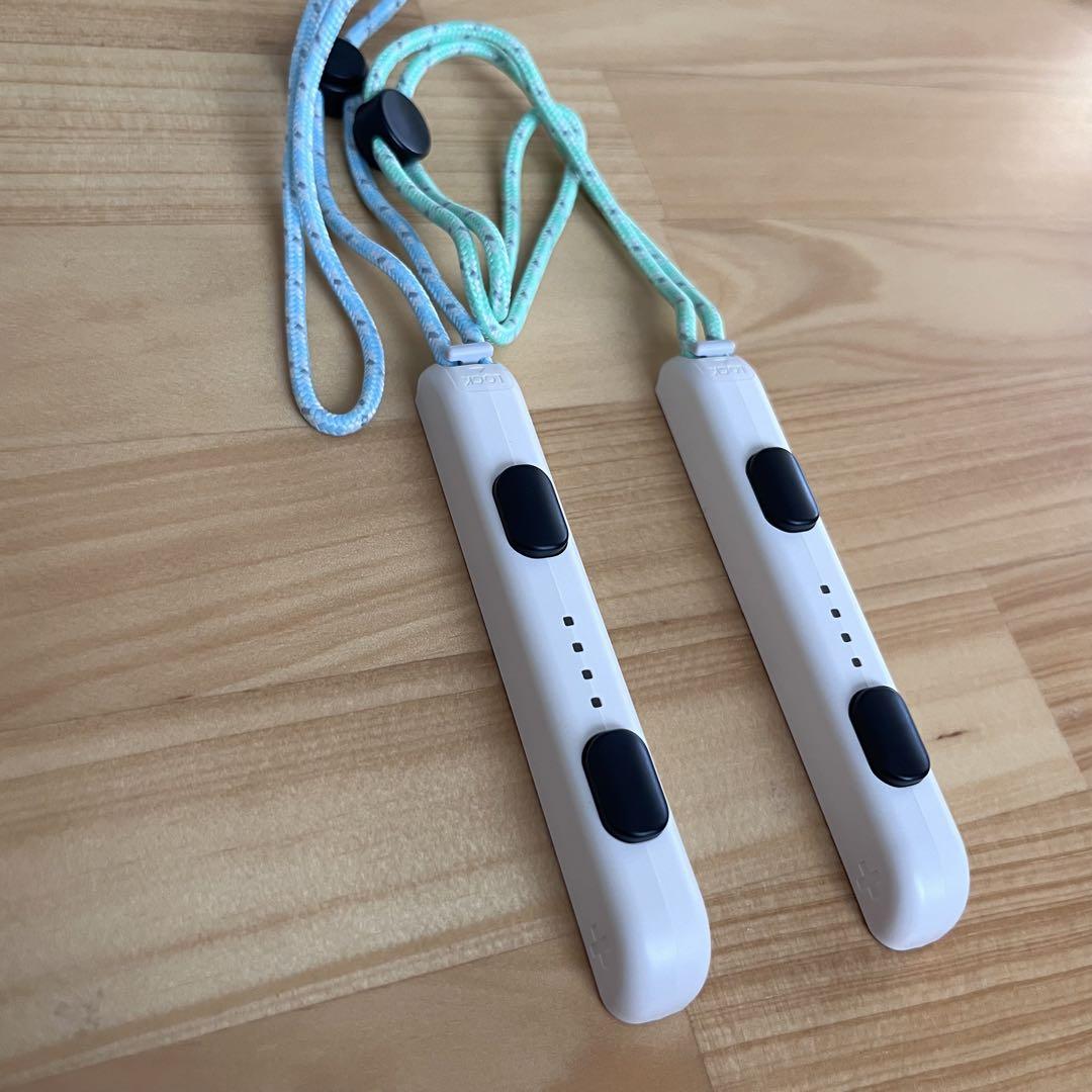 Nintendo Switchあつまれどうぶつの森　セット