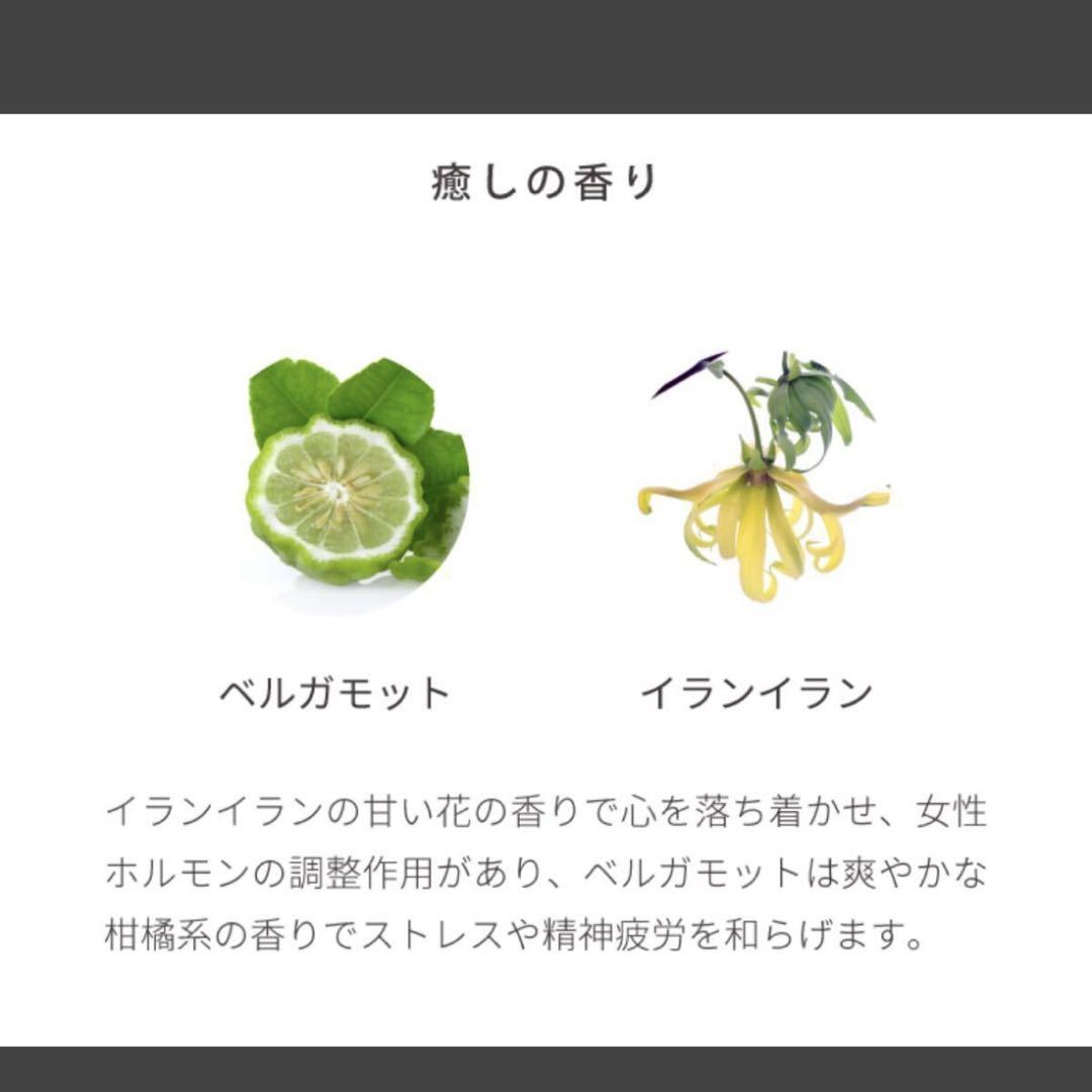 エブリースキン プロ スキンジェル Plus 500g【業務用】
