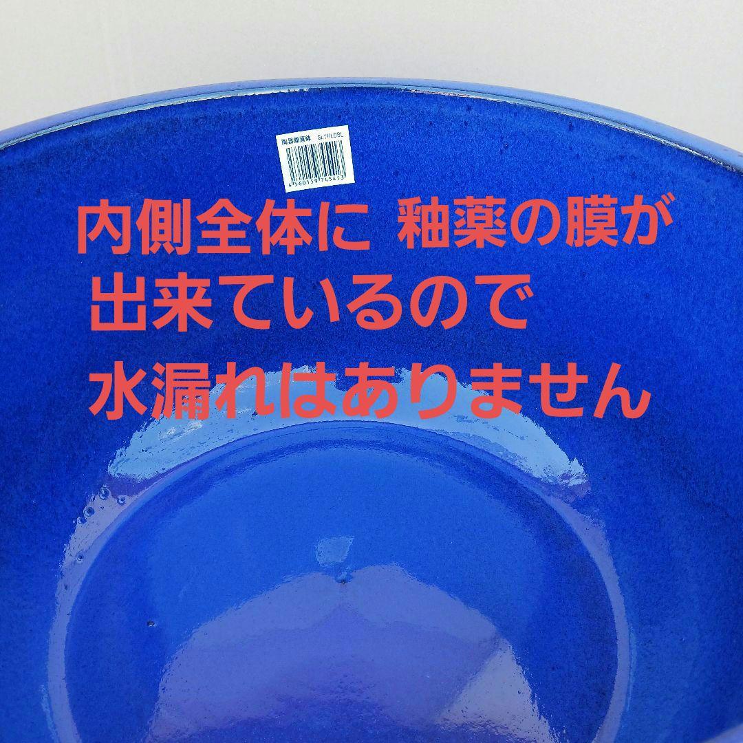 新品 ∅50 特大 陶器 睡蓮鉢 手造り メダカ鉢 難有 ラピスブルー