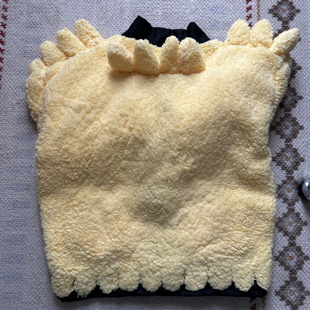 ポケモンSV グルーシャ　衣装