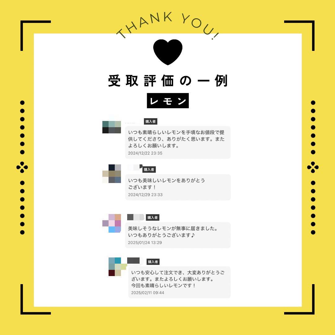 農薬不使用のレモン 10kg箱（アレンユーレカ）【愛媛の農家直送】0501く