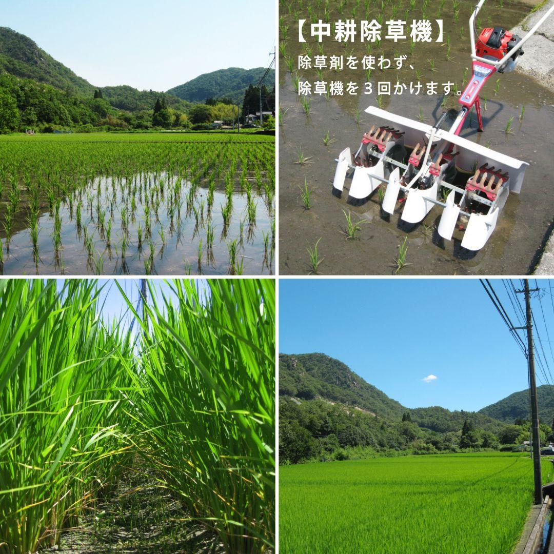 【定期購入3回目】純知ページ