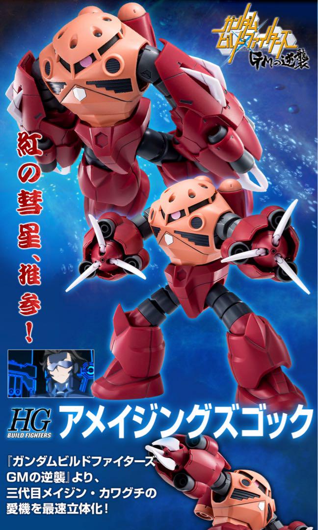 マ*サ様 ＨＧ 1/144 シャア専用高機動型ザクII & アメイジングズゴック