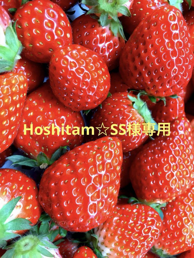 Hoshitam☆SS様専用