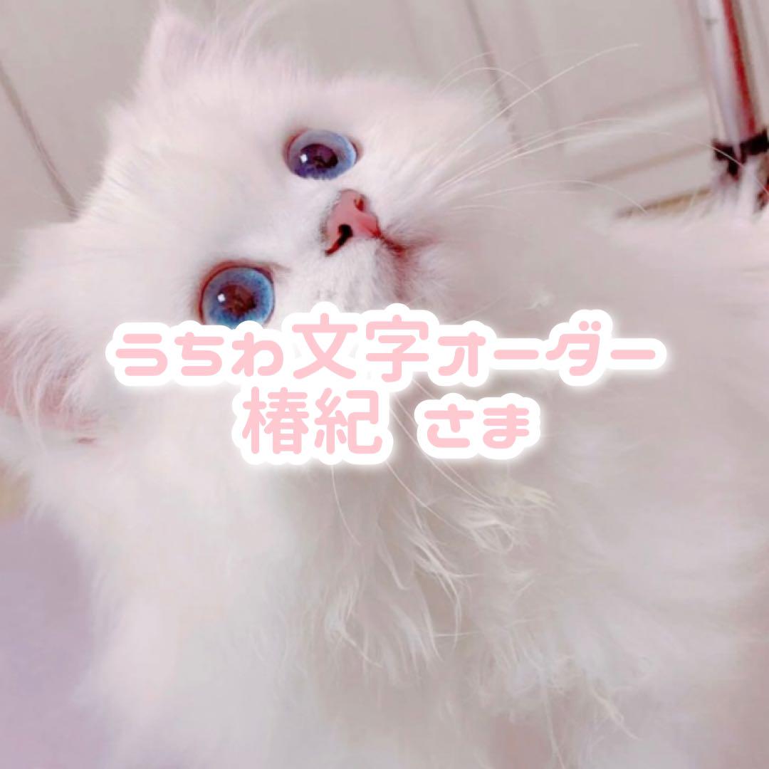 椿紀 さま うちわ文字 オーダー