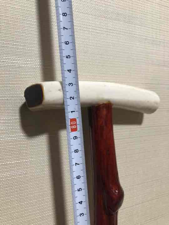 持ち手付 アカザの杖 参