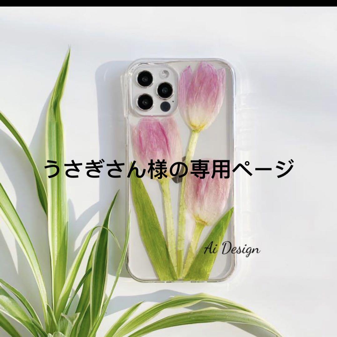 ブリーダー直営うさぎ専門店Lupinus Rabbitry｜小柄な