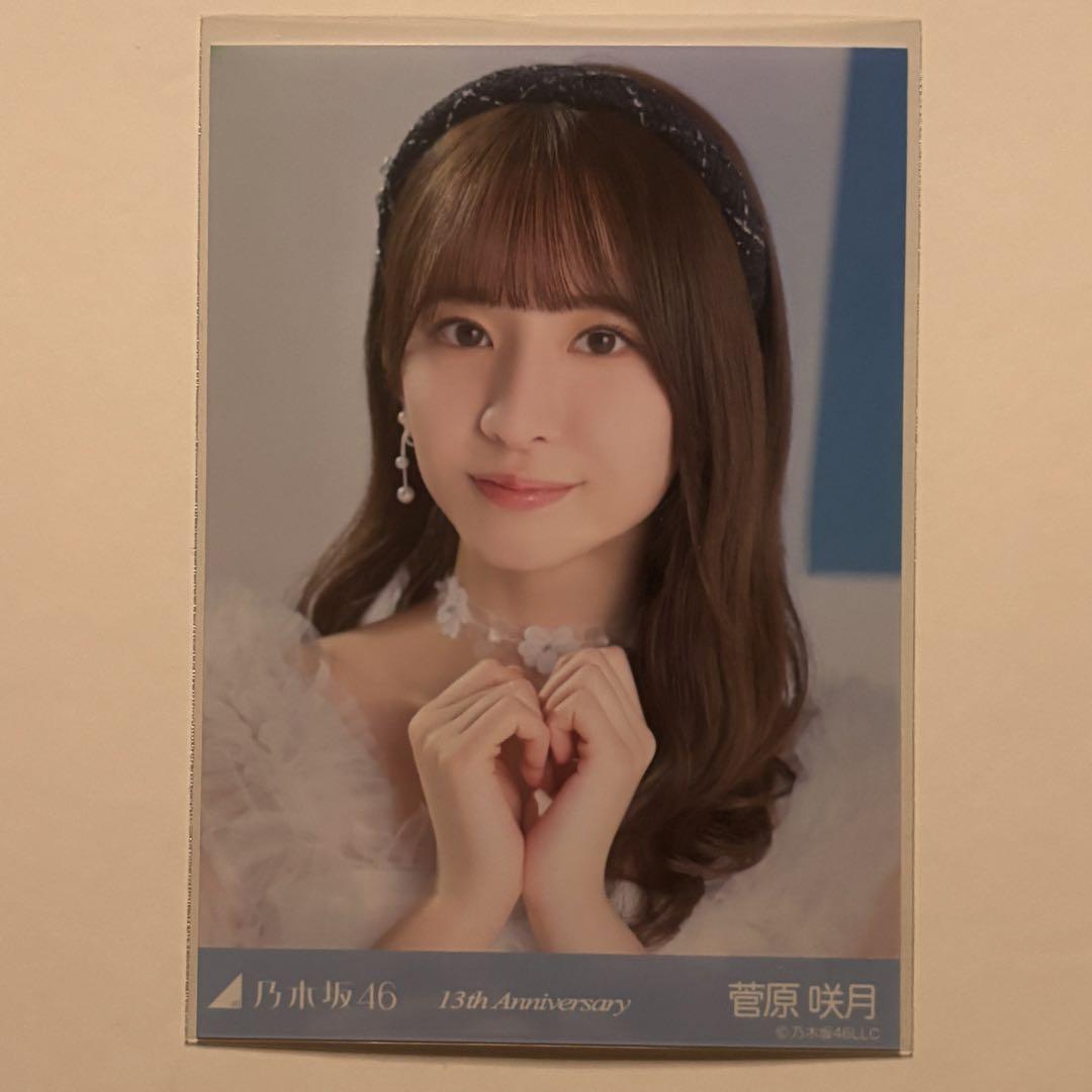 乃木坂46 13周年記念 生写真 アニバ 座りヨリ レアポーズ 菅原咲