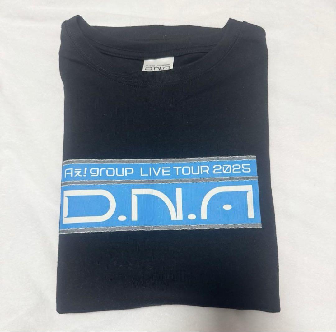 Aぇ!group 末澤誠也 Tシャツ ペンライト バッグ グッズ まとめ売り Aぇ!group 末澤誠也 Tシャツ ペンライト バッグ グッズ まとめ売り