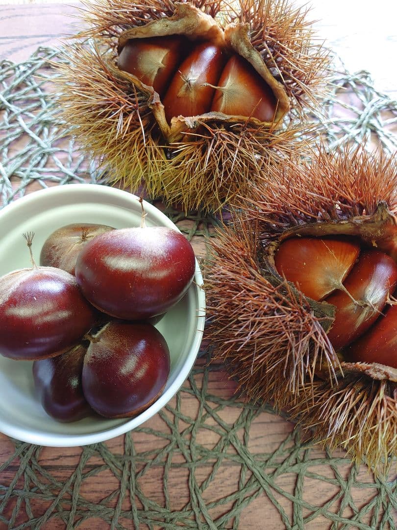 茨城県産 利平栗【2L〜4Lサイズ 1キロ】農薬不使用 大粒和栗 茨城県産 利平栗【2L〜4Lサイズ 1キロ】農薬不使用 大粒和栗