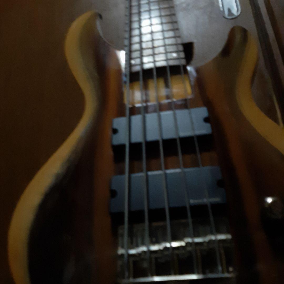 レア】Aria ProⅡ 5弦ベース 24F アクティブPU