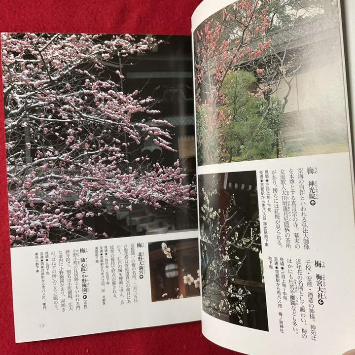 京都を愛する人に 京の四季花ごよみ 花咲く道を歩く 水野克比古 春夏秋冬京都散歩 メルカリ