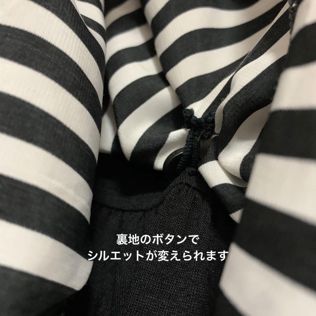 アルゴンキン 蝶々刺繍 ストライプアシメスカート