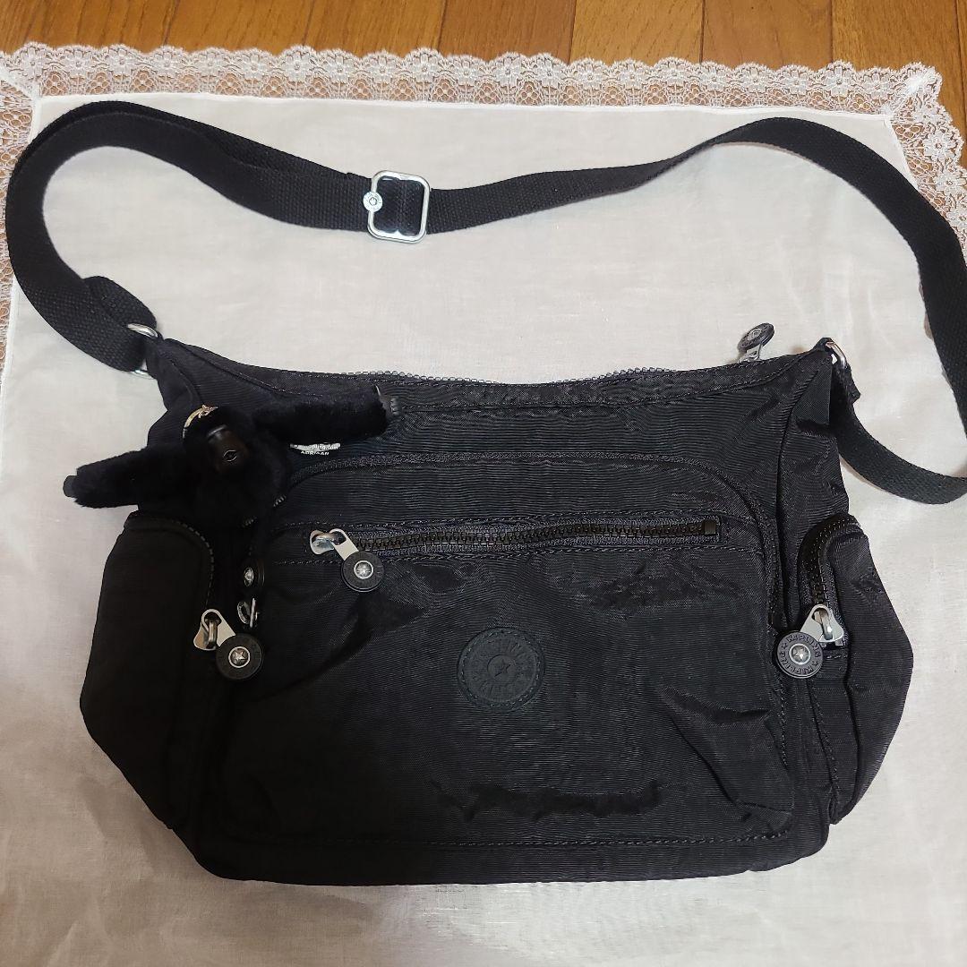 ◇RGL◇子株 アチェ産 ワイルド 現地便 アグラオネマ ピクタム