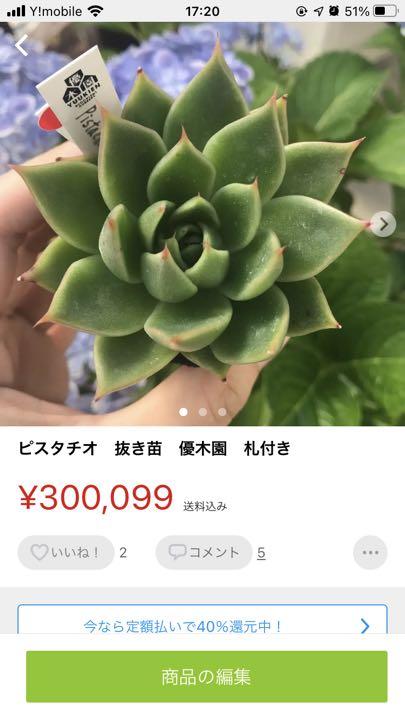 グレイ系【超特価sale開催】メルカリ便❗️arcty41さま専用 ポットごと3点 優木園 植物/観葉植物 インテリア・住まい・小物グレイ系¥11,340-www.outthere.travel グレイ系【超特価sale開催】メルカリ便❗️arcty41さま専用 ポットごと3点 優木園 植物/観葉植物 インテリア・住まい・小物グレイ系¥11,340-www.outthere.travel