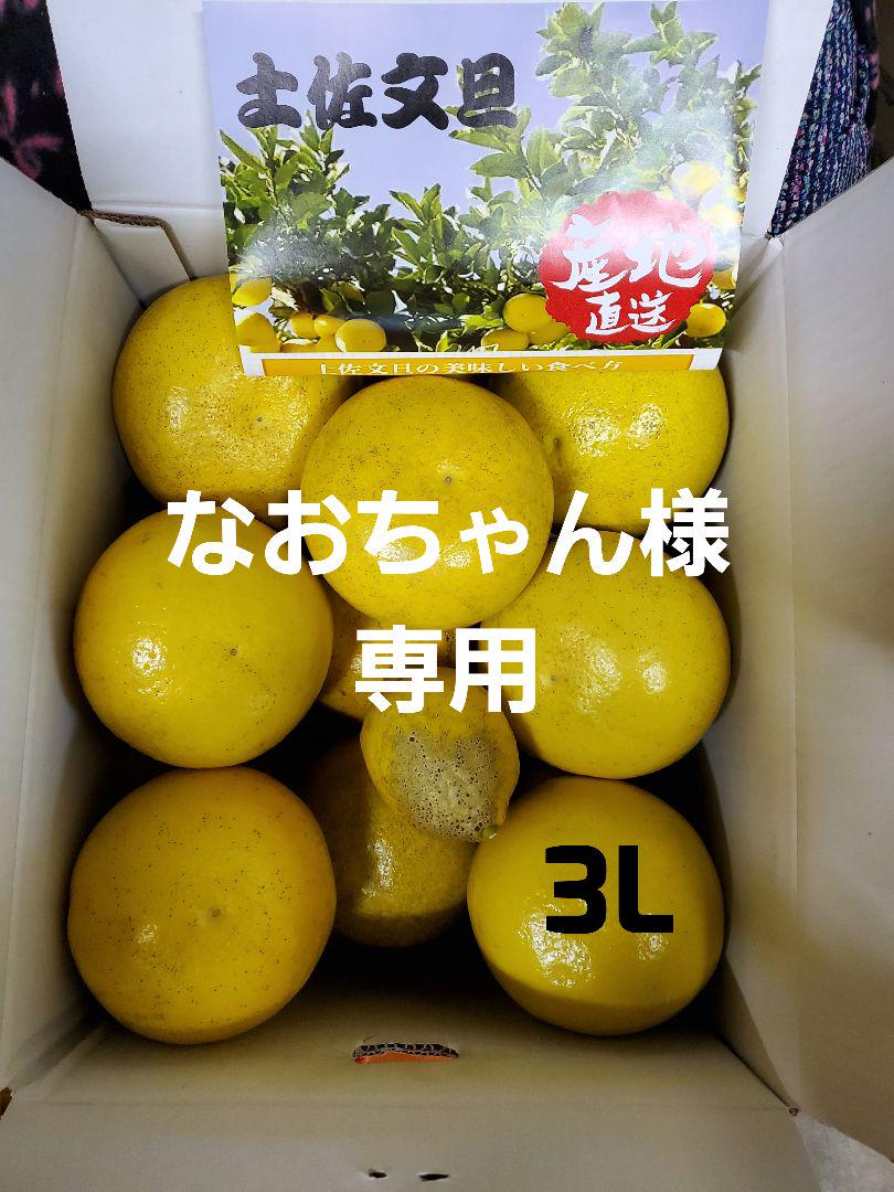 宮古島産　グリーンマンゴー　10kg（送料込み） 沖縄 摘果マンゴー グリーンマンゴー 10kg ③ （宮古島産