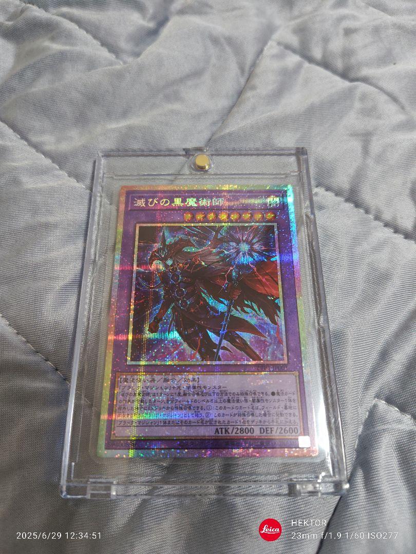 【まとめ売り対応】滅びの黒魔術師　プリシク