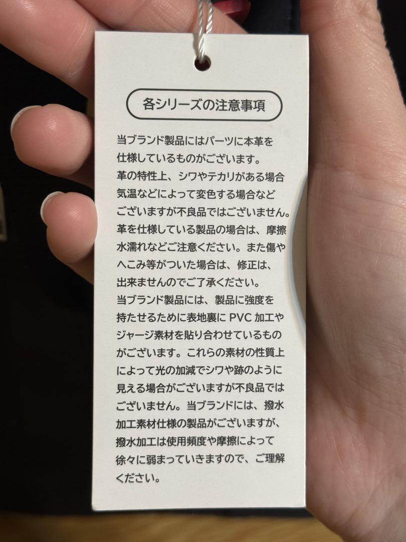 besideu ビサイユ　リュック