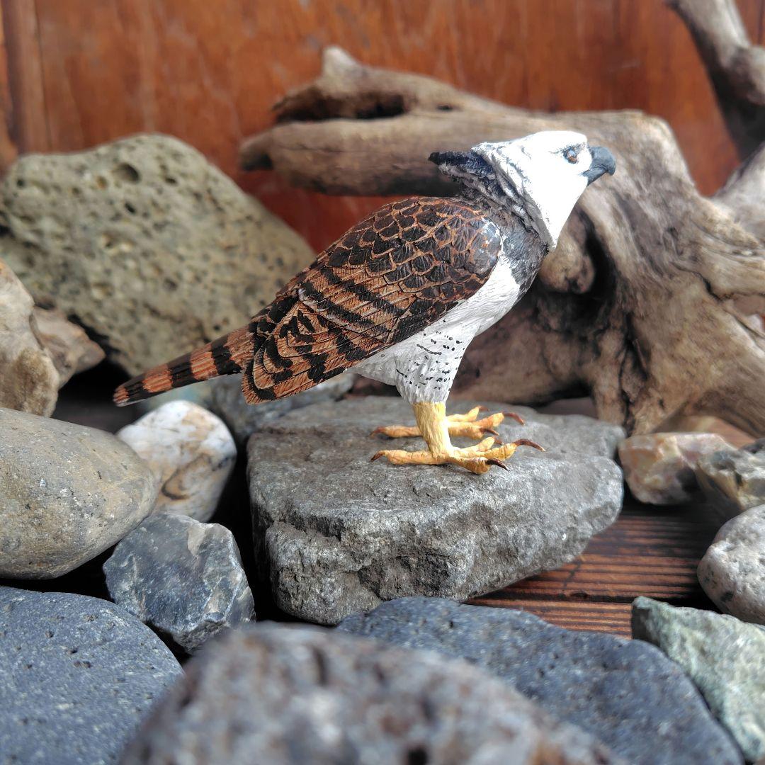 半額ストア オオギワシ 小さなバードカービング 野鳥 メルカリ - 置物